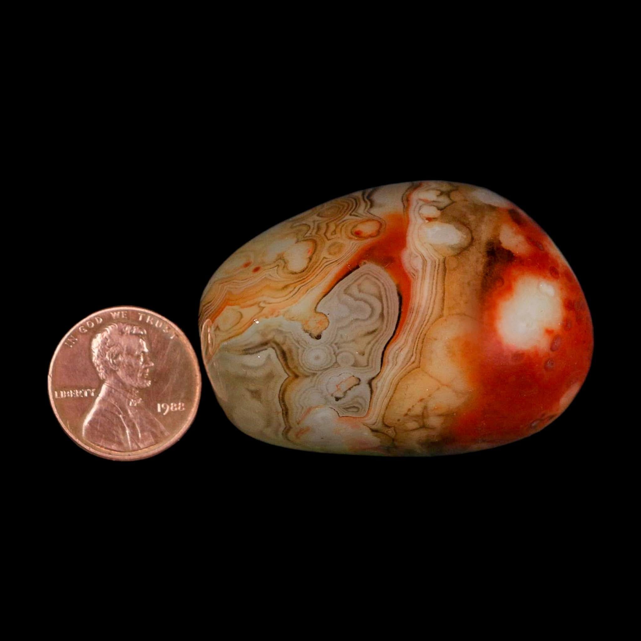 1.9" Natural Polished Red Silk Banded Agate Chalcedony Mineral Specimen - Fossil Age Minerals