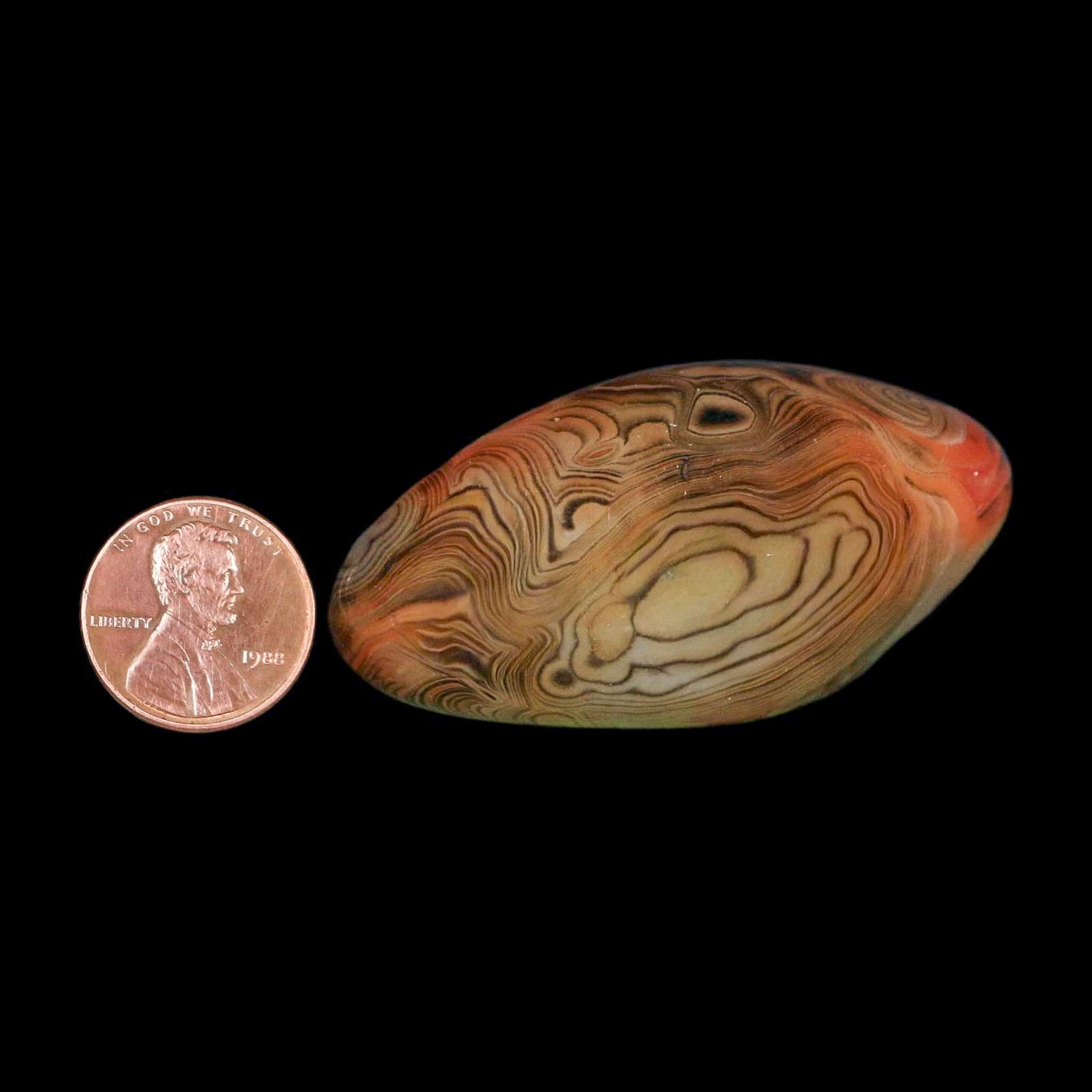 2.4" Natural Polished Red Silk Banded Agate Chalcedony Mineral Specimen - Fossil Age Minerals
