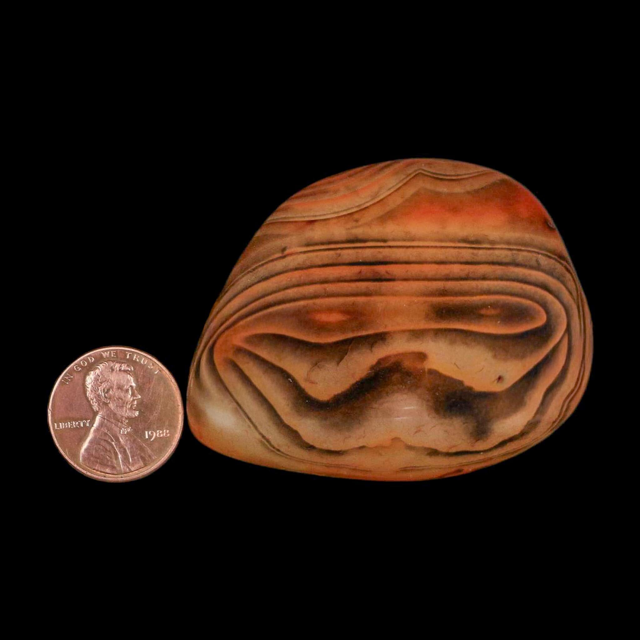2.4" Natural Polished Red Silk Banded Agate Chalcedony Mineral Specimen - Fossil Age Minerals