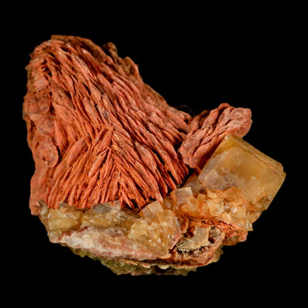 2.7" Yellow Fluorite on Orange Barite Blade Crystals Minerals Taouirirt Morocco