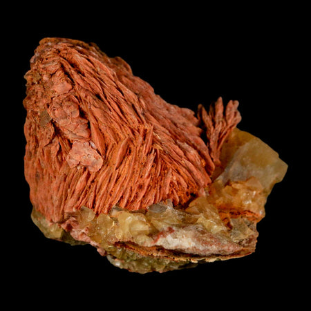 2.7" Yellow Fluorite on Orange Barite Blade Crystals Minerals Taouirirt Morocco