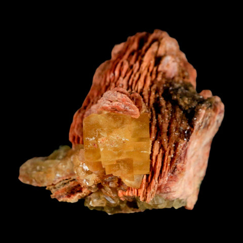 2.7" Yellow Fluorite on Orange Barite Blade Crystals Minerals Taouirirt Morocco - Fossil Age Minerals
