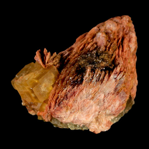 2.7" Yellow Fluorite on Orange Barite Blade Crystals Minerals Taouirirt Morocco - Fossil Age Minerals
