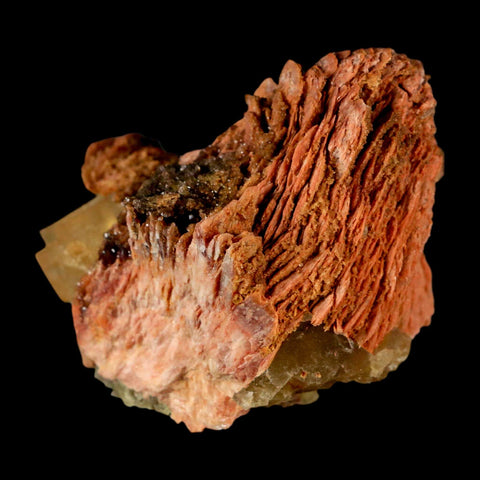 2.7" Yellow Fluorite on Orange Barite Blade Crystals Minerals Taouirirt Morocco - Fossil Age Minerals