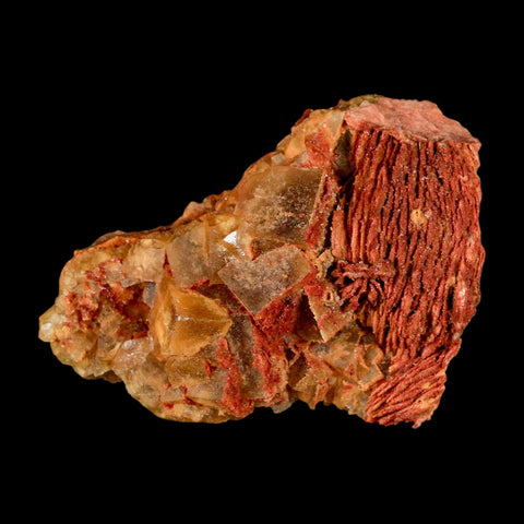 3.6" Yellow Fluorite on Orange Barite Blade Crystals Minerals Taouirirt Morocco - Fossil Age Minerals