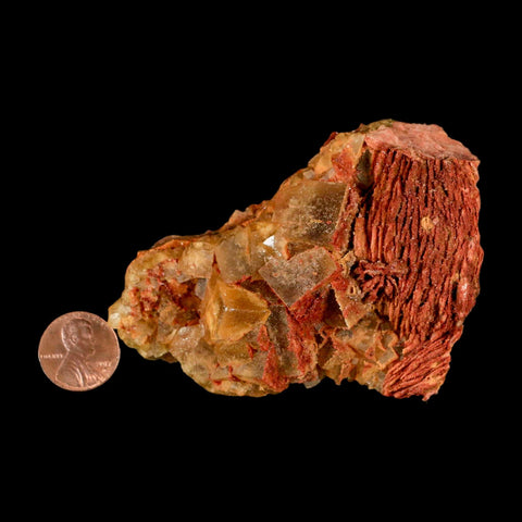 3.6" Yellow Fluorite on Orange Barite Blade Crystals Minerals Taouirirt Morocco - Fossil Age Minerals