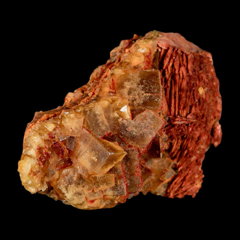 3.6" Yellow Fluorite on Orange Barite Blade Crystals Minerals Taouirirt Morocco - Fossil Age Minerals