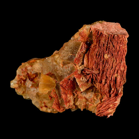 3.6" Yellow Fluorite on Orange Barite Blade Crystals Minerals Taouirirt Morocco - Fossil Age Minerals