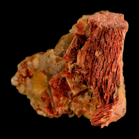 3.6" Yellow Fluorite on Orange Barite Blade Crystals Minerals Taouirirt Morocco - Fossil Age Minerals