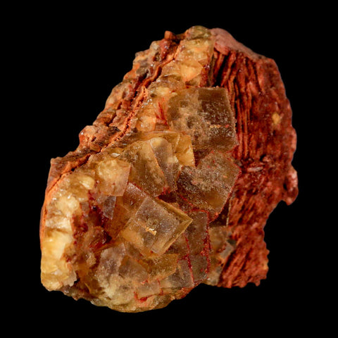 3.6" Yellow Fluorite on Orange Barite Blade Crystals Minerals Taouirirt Morocco - Fossil Age Minerals