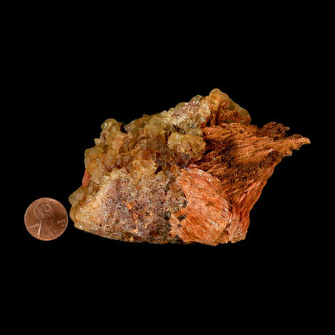 4.2" Yellow Fluorite on Orange Barite Blade Crystals Minerals Taouirirt Morocco - Fossil Age Minerals