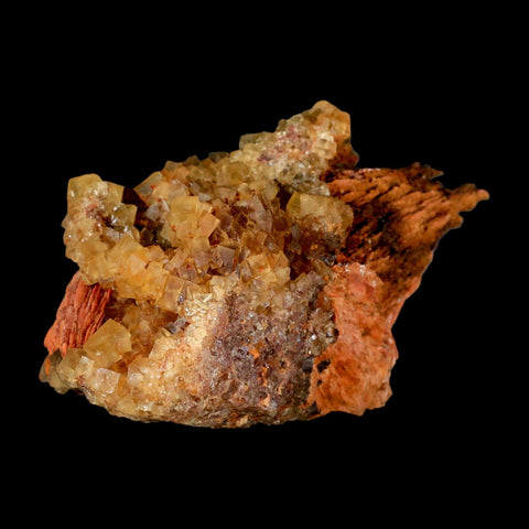 4.2" Yellow Fluorite on Orange Barite Blade Crystals Minerals Taouirirt Morocco - Fossil Age Minerals