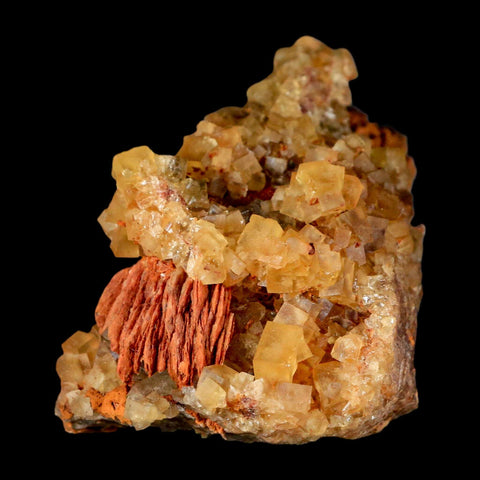 4.2" Yellow Fluorite on Orange Barite Blade Crystals Minerals Taouirirt Morocco - Fossil Age Minerals