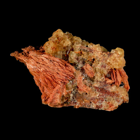 4.2" Yellow Fluorite on Orange Barite Blade Crystals Minerals Taouirirt Morocco - Fossil Age Minerals