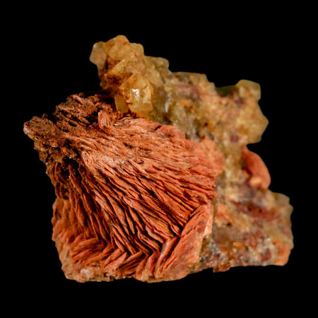 4.2" Yellow Fluorite on Orange Barite Blade Crystals Minerals Taouirirt Morocco