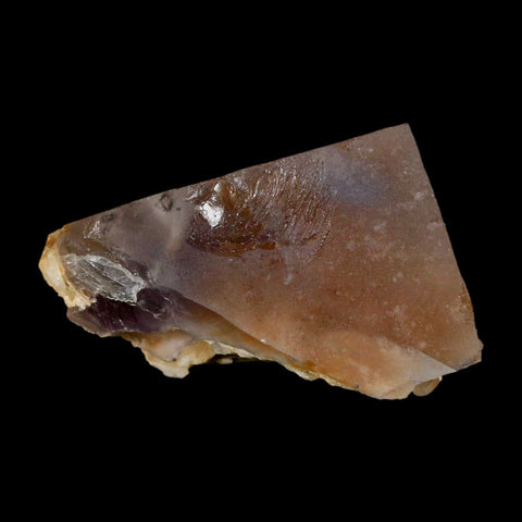 2.2" Purple Fluorite Crystal Cube Mineral Specimen Taourirt Morocco - Fossil Age Minerals