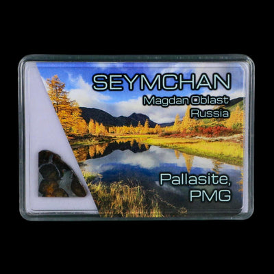 Seymchan Pallasite PMG Meteorite Specimen Magdanoblast Russia Display 1.84 Gram