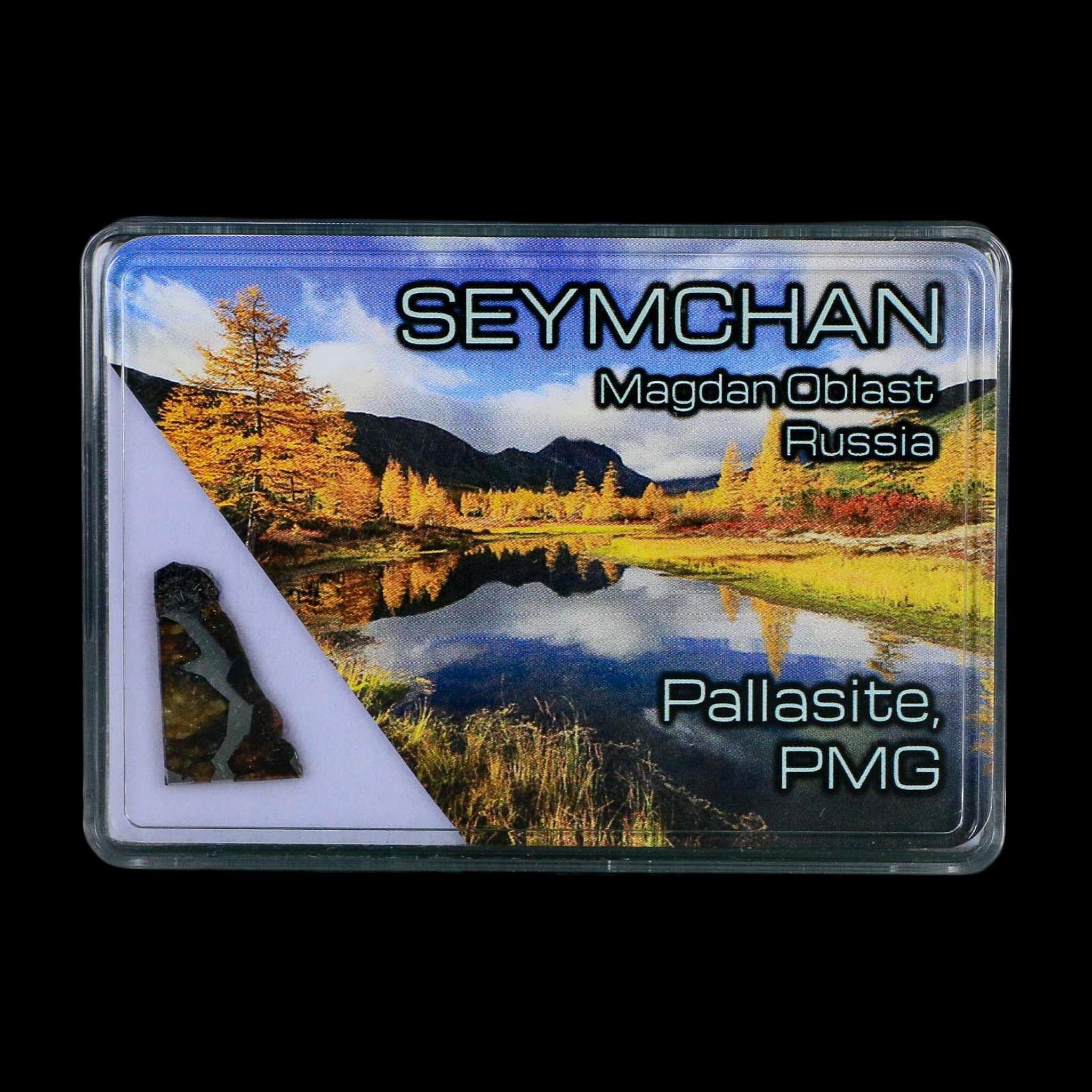 Seymchan Pallasite PMG Meteorite Specimen Magdanoblast Russia Display 1.34 Gram - Fossil Age Minerals