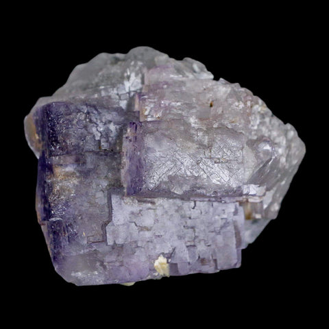3" Purple Fluorite Crystal Cube Cluster Mineral Specimen Taourirt Morocco - Fossil Age Minerals