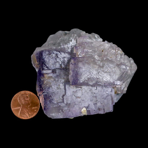 3" Purple Fluorite Crystal Cube Cluster Mineral Specimen Taourirt Morocco - Fossil Age Minerals