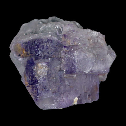 3" Purple Fluorite Crystal Cube Cluster Mineral Specimen Taourirt Morocco - Fossil Age Minerals