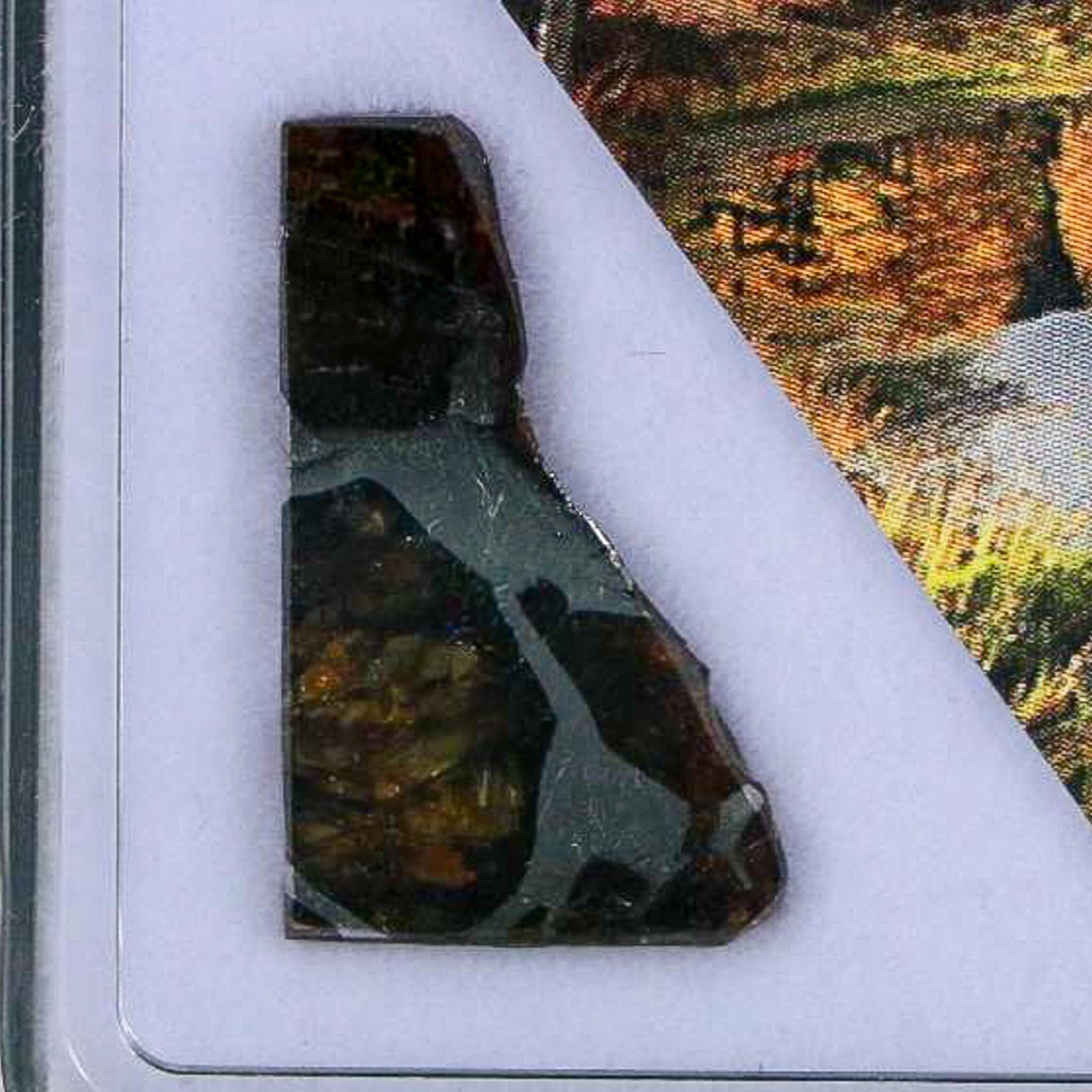 Seymchan Pallasite PMG Meteorite Specimen Magdanoblast Russia Display 1.34 Gram - Fossil Age Minerals