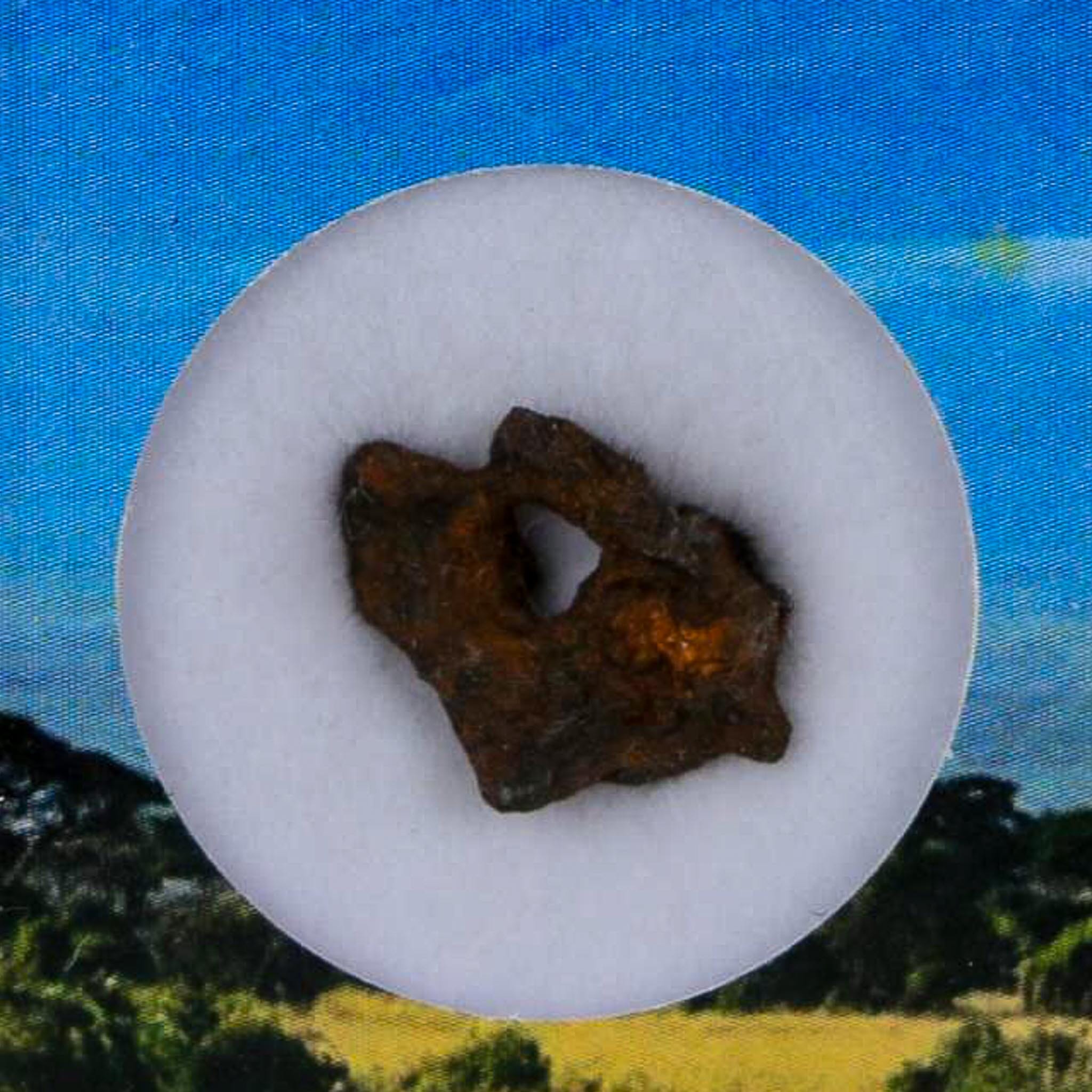 Sericho Stony Iron Pallasite Meteorite Kenya, Africa Found 2016 Display 1.44 Grams - Fossil Age Minerals