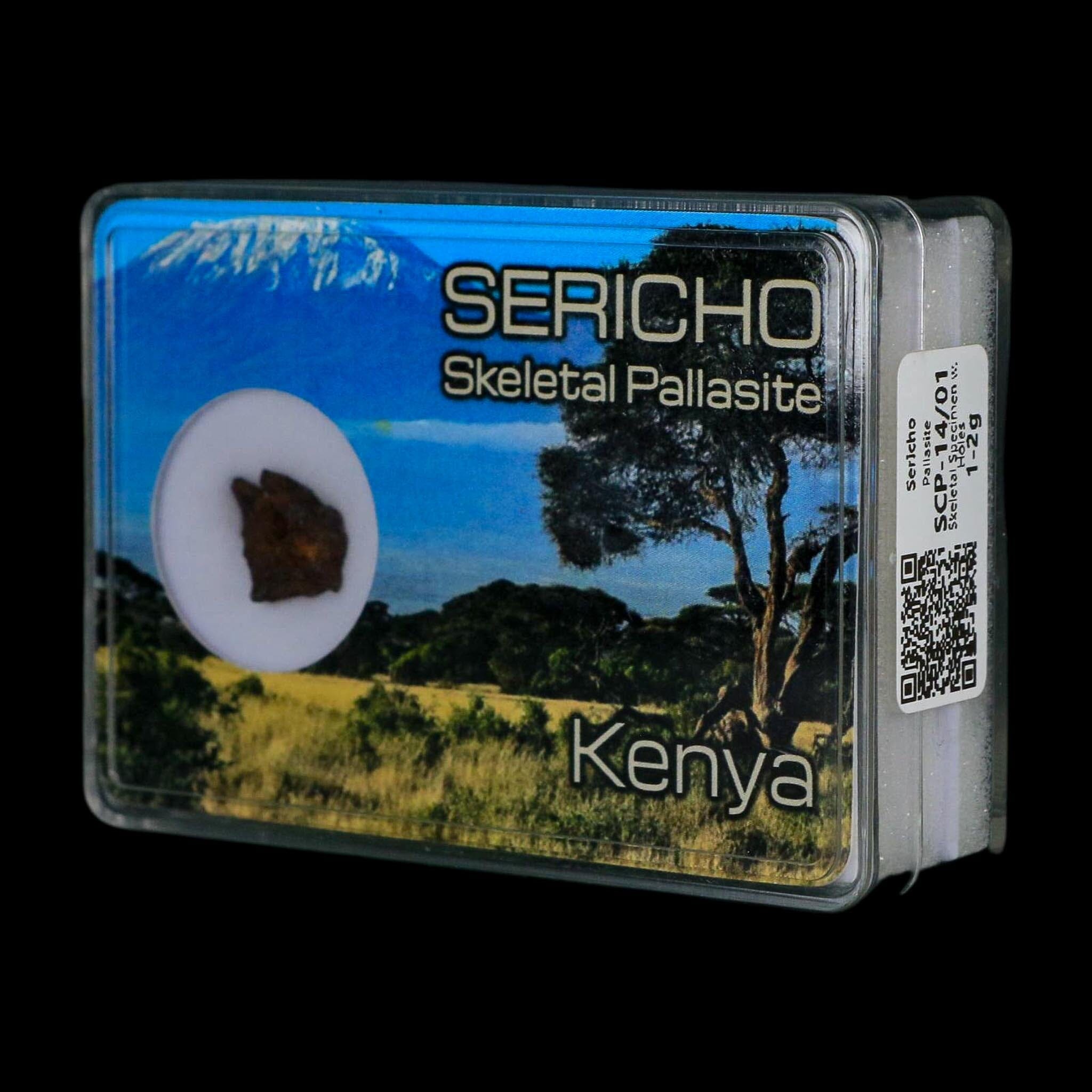 Sericho Stony Iron Pallasite Meteorite Kenya, Africa Found 2016 Display 1.44 Grams - Fossil Age Minerals