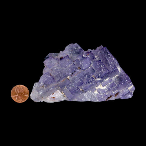 4.3" Purple Fluorite Crystal Cube Cluster Mineral Specimen Taourirt Morocco - Fossil Age Minerals
