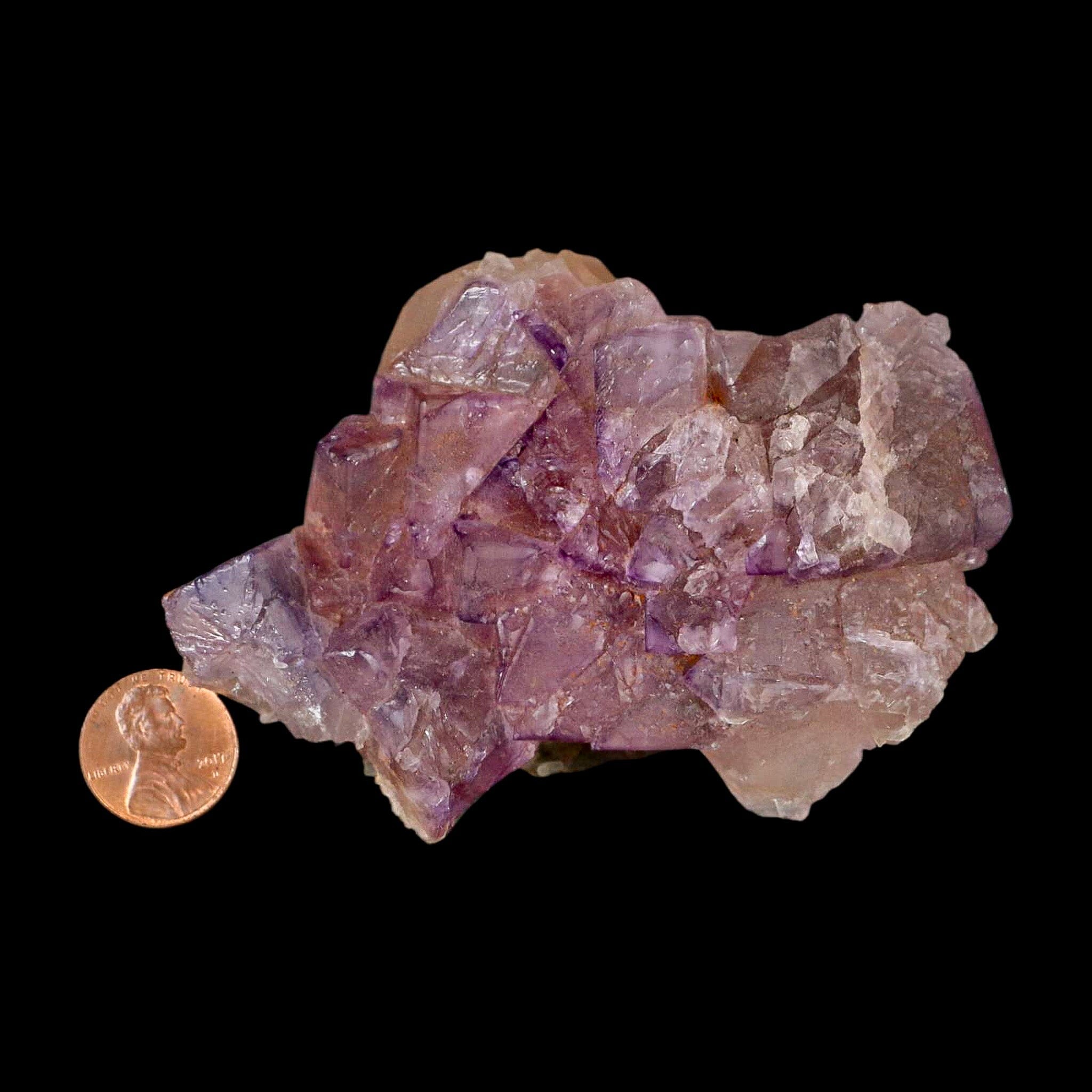 3.8" Purple Fluorite Crystal Cube Cluster Mineral Specimen Taourirt Morocco - Fossil Age Minerals
