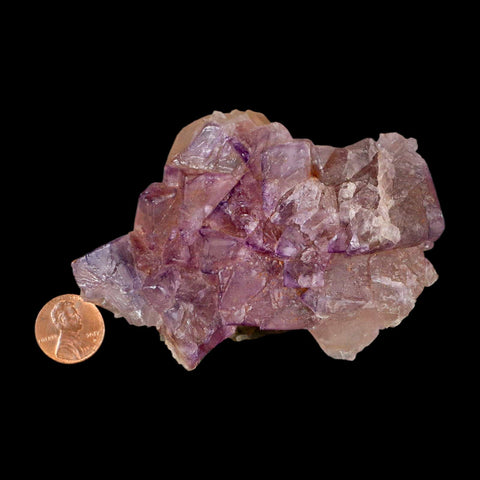 3.8" Purple Fluorite Crystal Cube Cluster Mineral Specimen Taourirt Morocco - Fossil Age Minerals