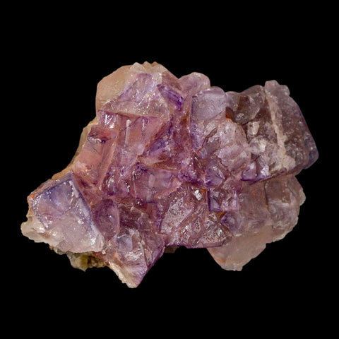 3.8" Purple Fluorite Crystal Cube Cluster Mineral Specimen Taourirt Morocco - Fossil Age Minerals