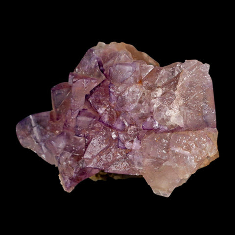 3.8" Purple Fluorite Crystal Cube Cluster Mineral Specimen Taourirt Morocco - Fossil Age Minerals