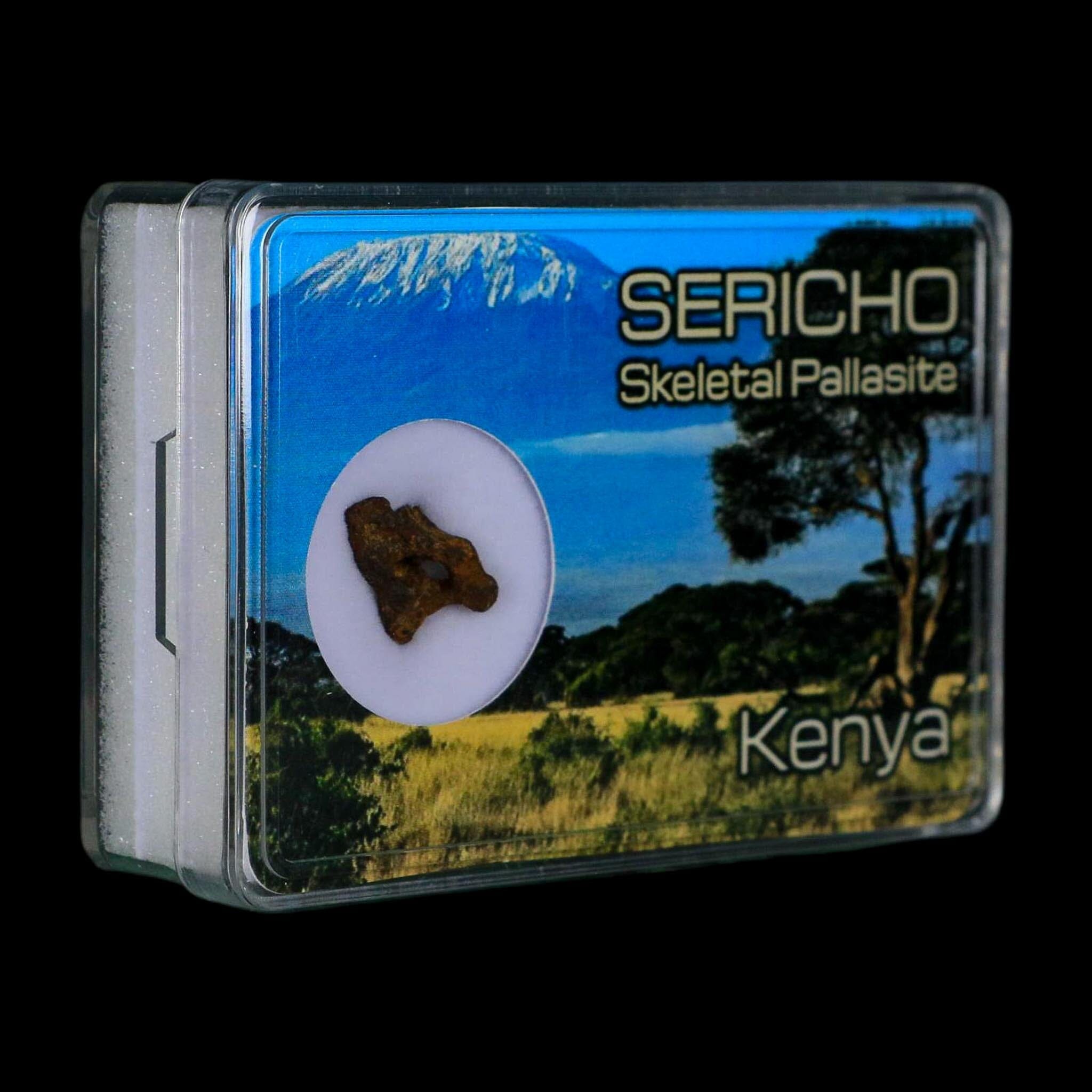 Sericho Stony Iron Pallasite Meteorite Kenya, Africa Found 2016 Display 1.30 Gram - Fossil Age Minerals