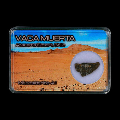 Vaca Muerta Meteorite Mesosiderite-A1 Chile, South America Meteorites Display