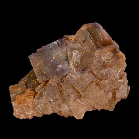 2" Purple Fluorite Crystal Cube Cluster Mineral Specimen Taourirt Morocco - Fossil Age Minerals