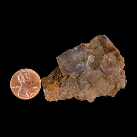 2" Purple Fluorite Crystal Cube Cluster Mineral Specimen Taourirt Morocco - Fossil Age Minerals