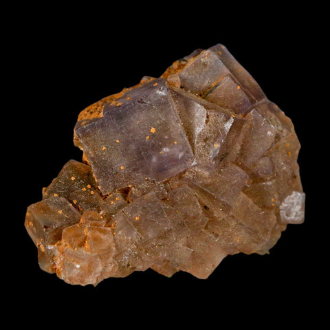 2" Purple Fluorite Crystal Cube Cluster Mineral Specimen Taourirt Morocco - Fossil Age Minerals