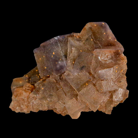 2" Purple Fluorite Crystal Cube Cluster Mineral Specimen Taourirt Morocco - Fossil Age Minerals