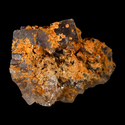 2" Purple Fluorite Crystal Cube Cluster Mineral Specimen Taourirt Morocco - Fossil Age Minerals