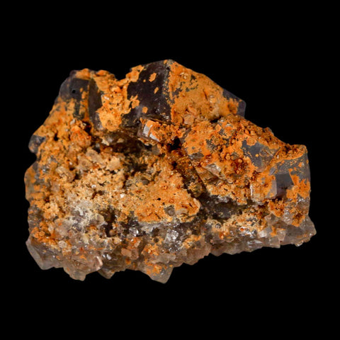 2" Purple Fluorite Crystal Cube Cluster Mineral Specimen Taourirt Morocco - Fossil Age Minerals