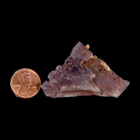 2.1" Purple Fluorite Crystal Cube Cluster Mineral Specimen Taourirt Morocco - Fossil Age Minerals