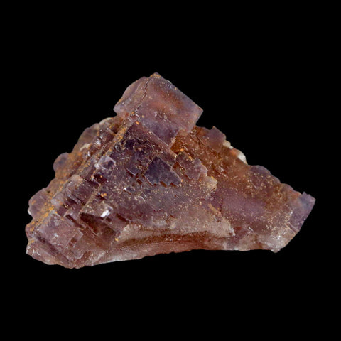 2.1" Purple Fluorite Crystal Cube Cluster Mineral Specimen Taourirt Morocco - Fossil Age Minerals