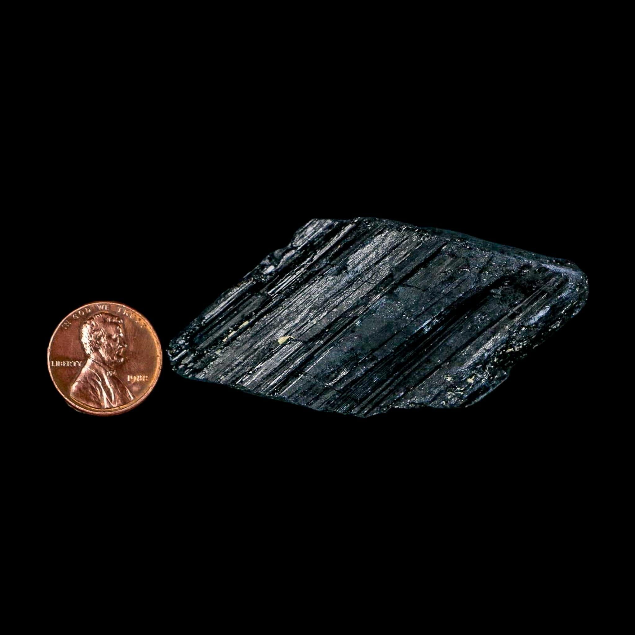 2.4" Natural Rough Black Tourmaline Mineral Crystal Specimen Schorl Brazil - Fossil Age Minerals