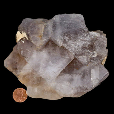 5.2" Light Purple Fluorite Crystal Cube Cluster Mineral Specimen Taourirt Morocco - Fossil Age Minerals