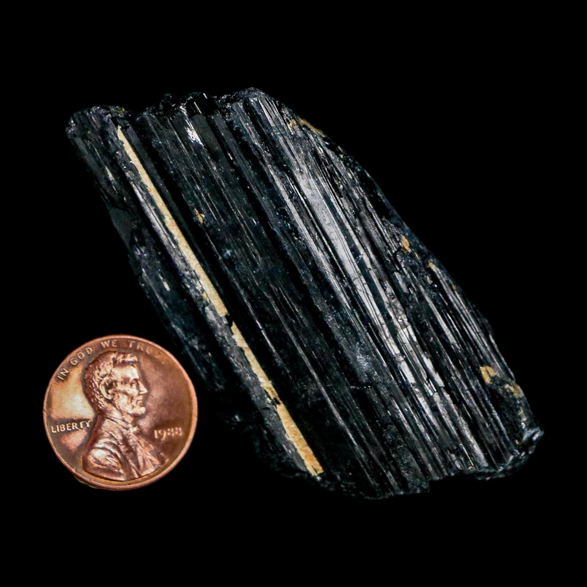 2.5" Natural Rough Black Tourmaline Mineral Crystal Specimen Schorl Brazil - Fossil Age Minerals