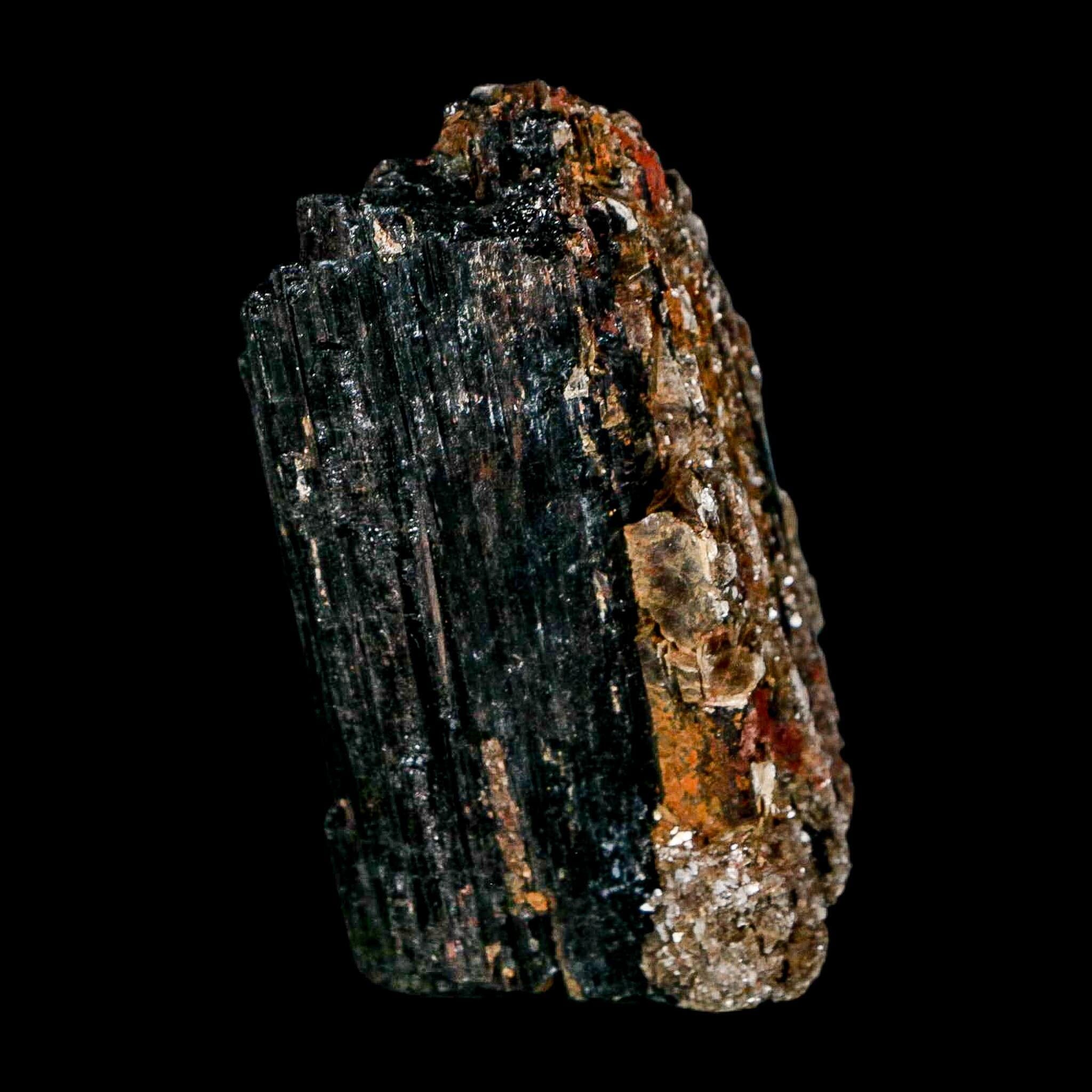 3.1" Natural Rough Black Tourmaline Mineral Crystal Specimen Schorl Brazil - Fossil Age Minerals