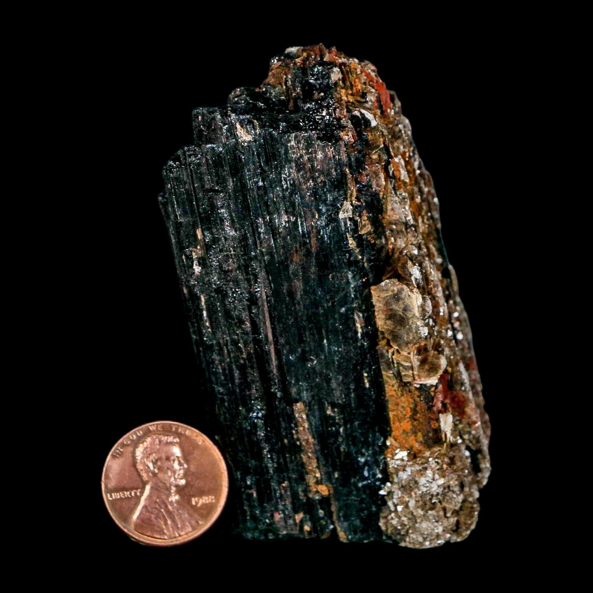 3.1" Natural Rough Black Tourmaline Mineral Crystal Specimen Schorl Brazil - Fossil Age Minerals