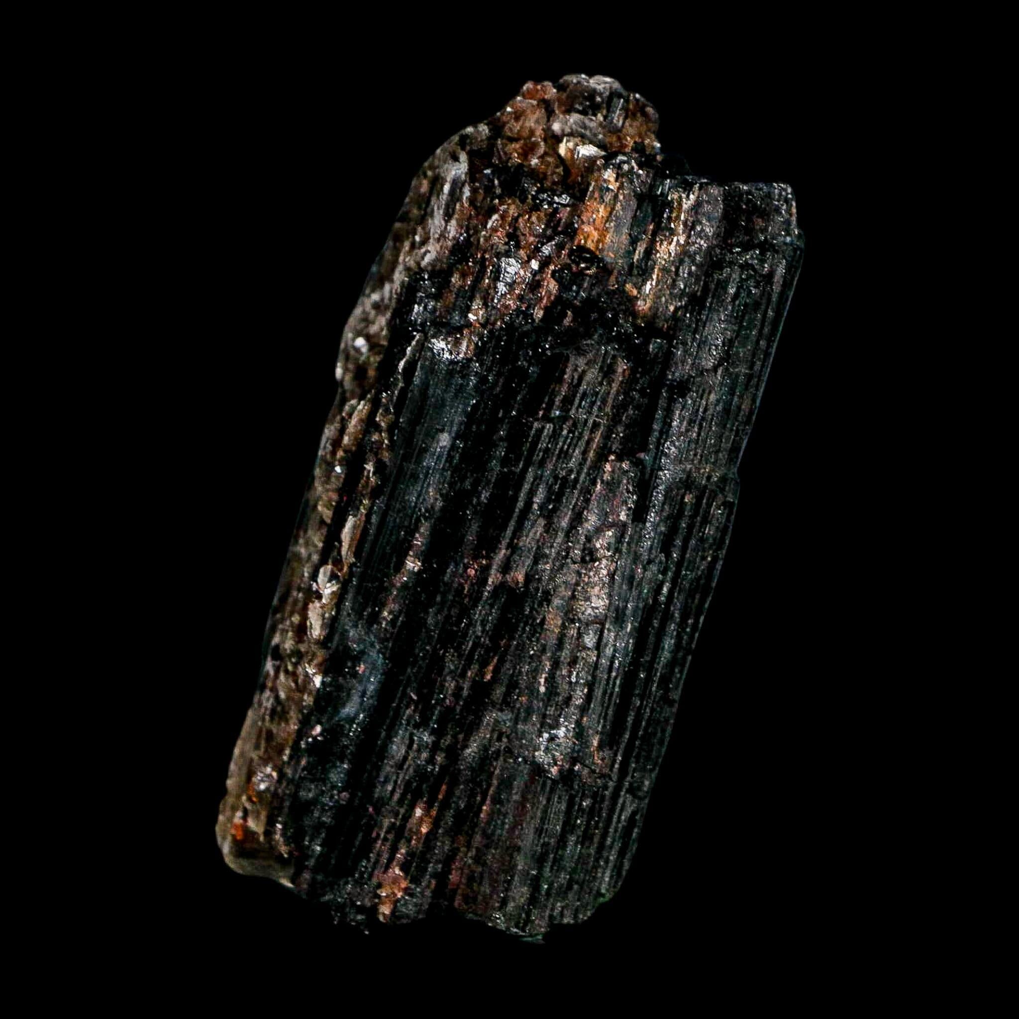 3.1" Natural Rough Black Tourmaline Mineral Crystal Specimen Schorl Brazil - Fossil Age Minerals