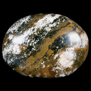 2.7" Natural Polished Ocean Jasper Crystal Palm Stone Location Madagascar Healing